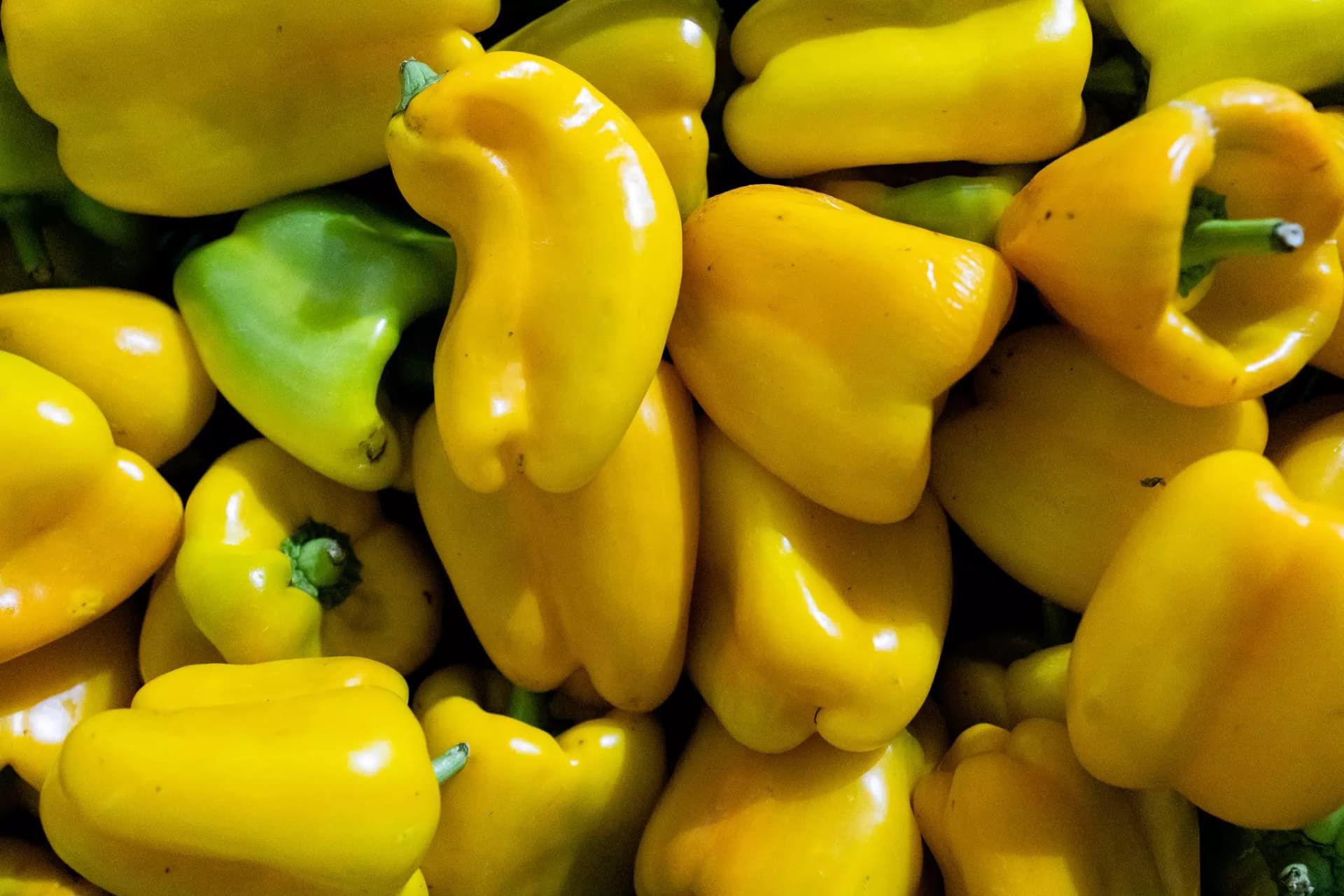 gelbe Paprika