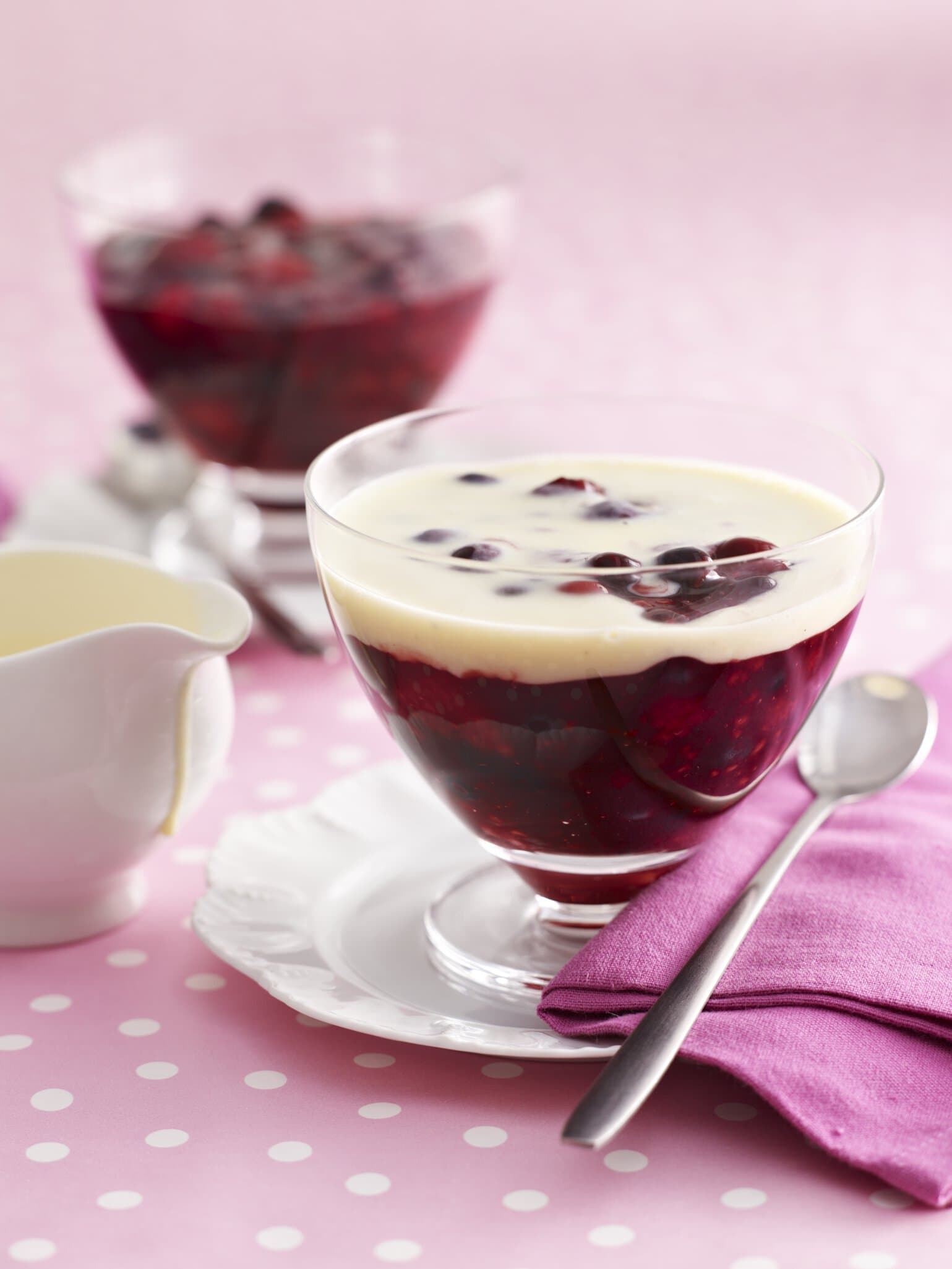Rote Grütze mit Vanillesoße