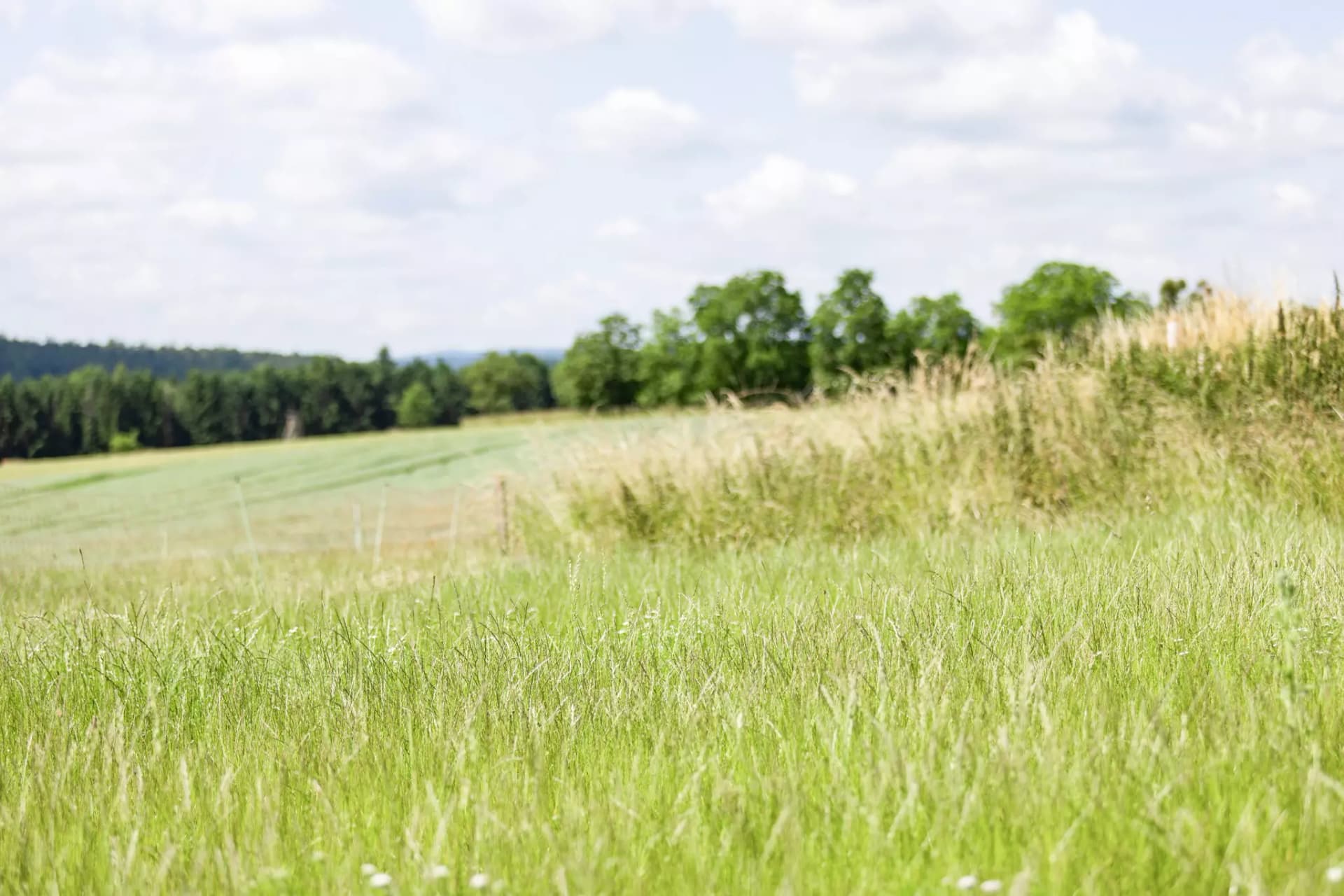 Blick über die Wiesen und Felder