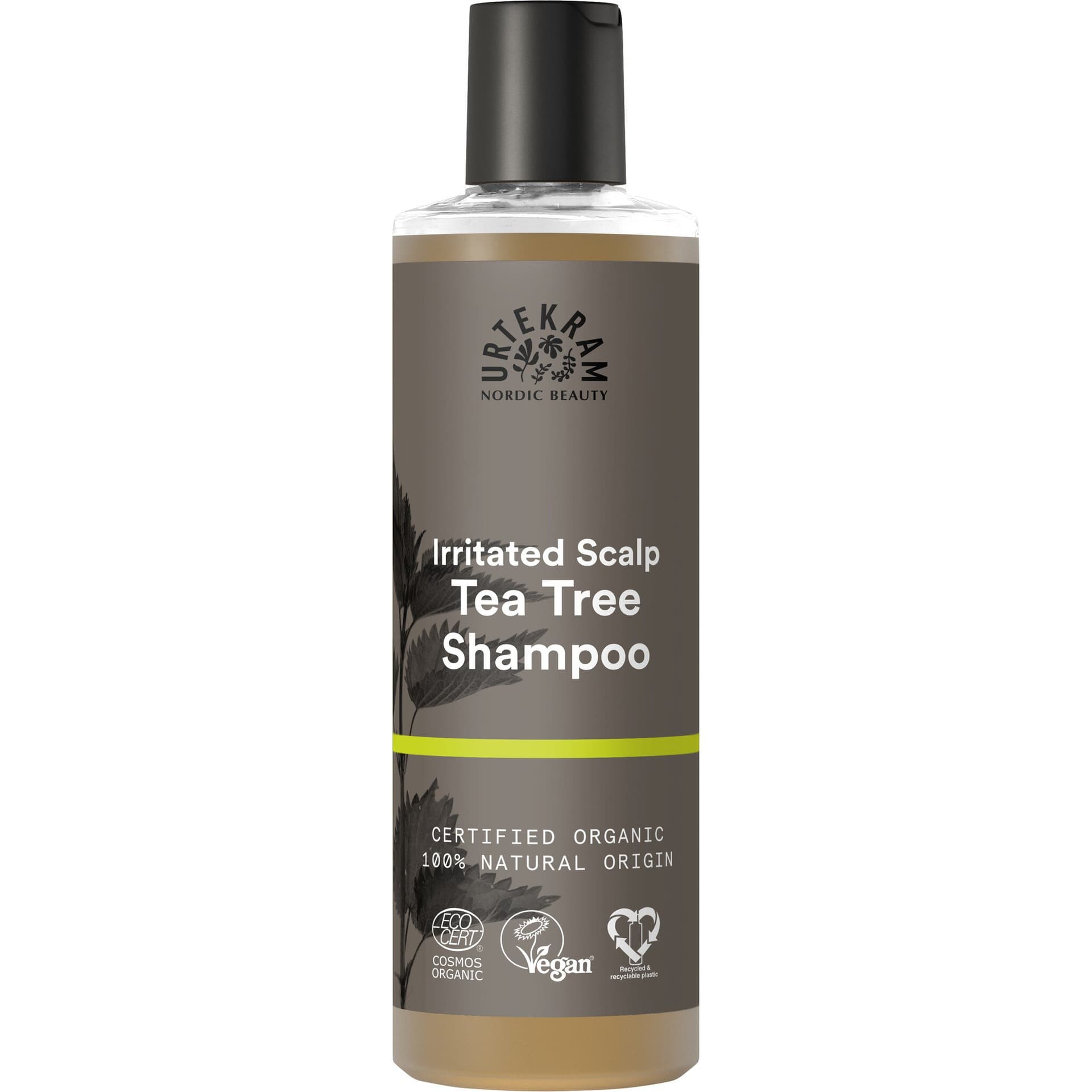 Urtekram Shampoo Teebaum