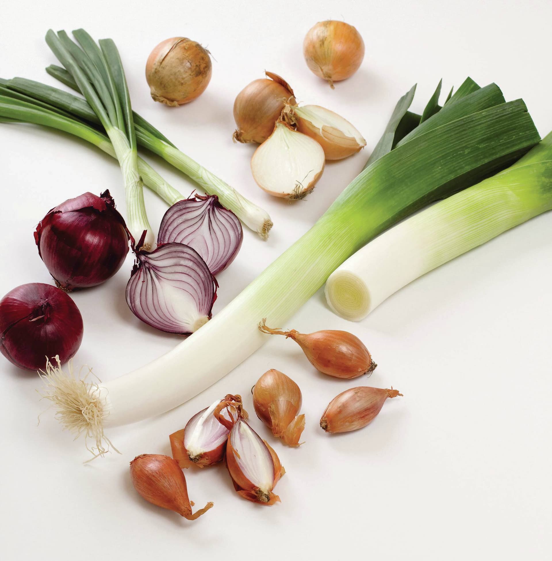 Warenkunde: Zwiebelgemüse