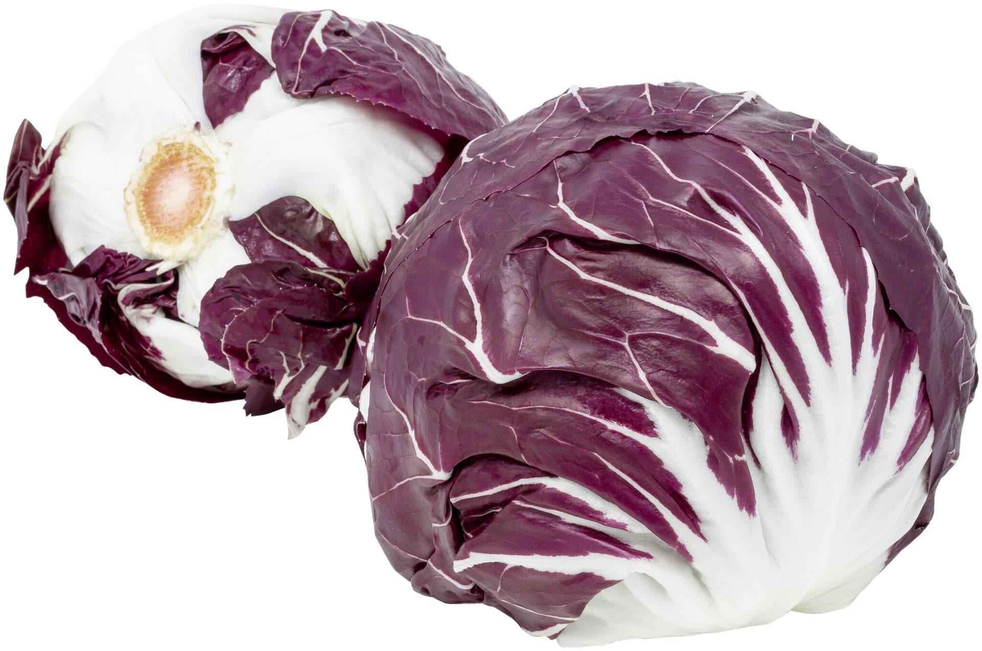 sonstige Marken Radicchio