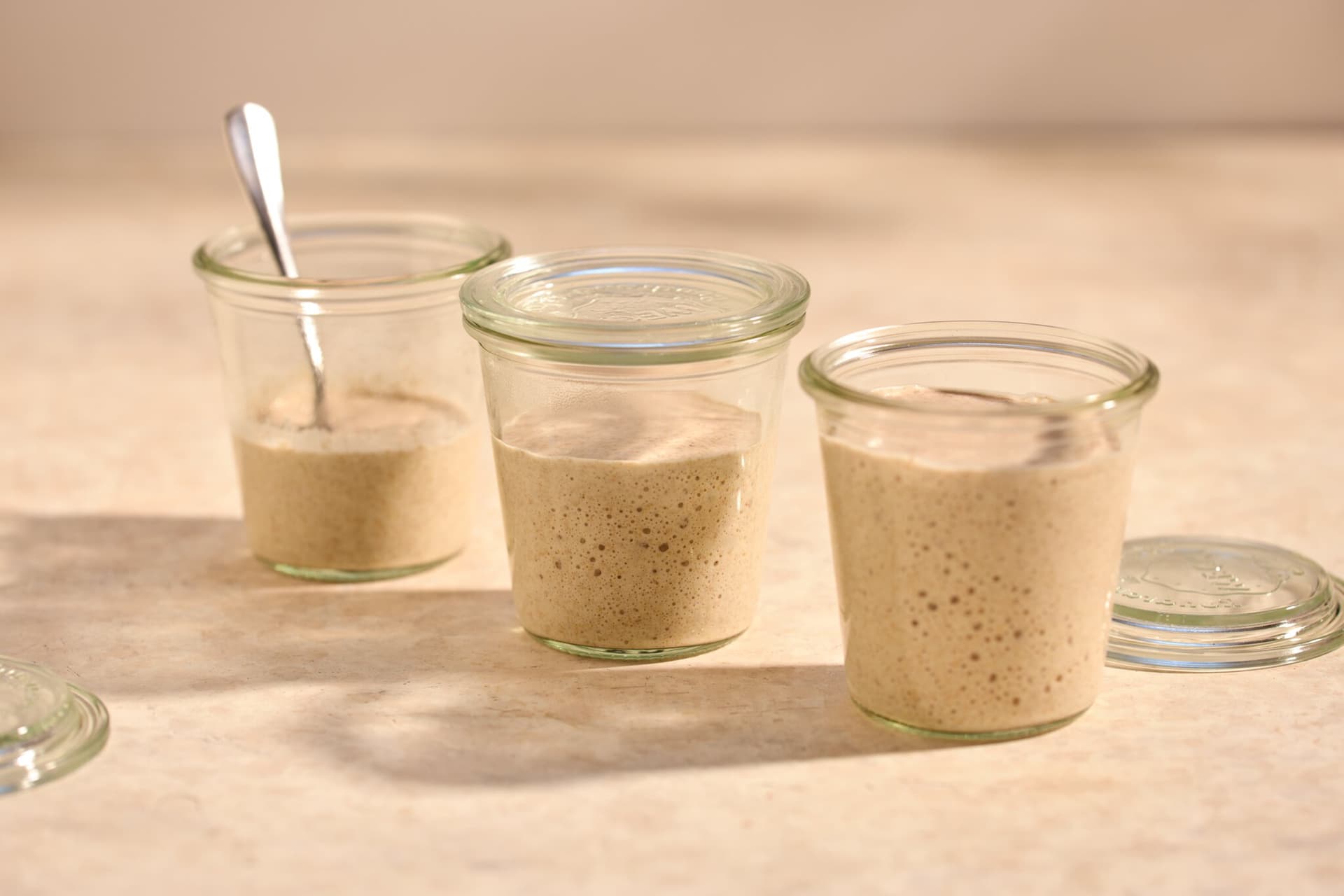 Sauerteig-Starter