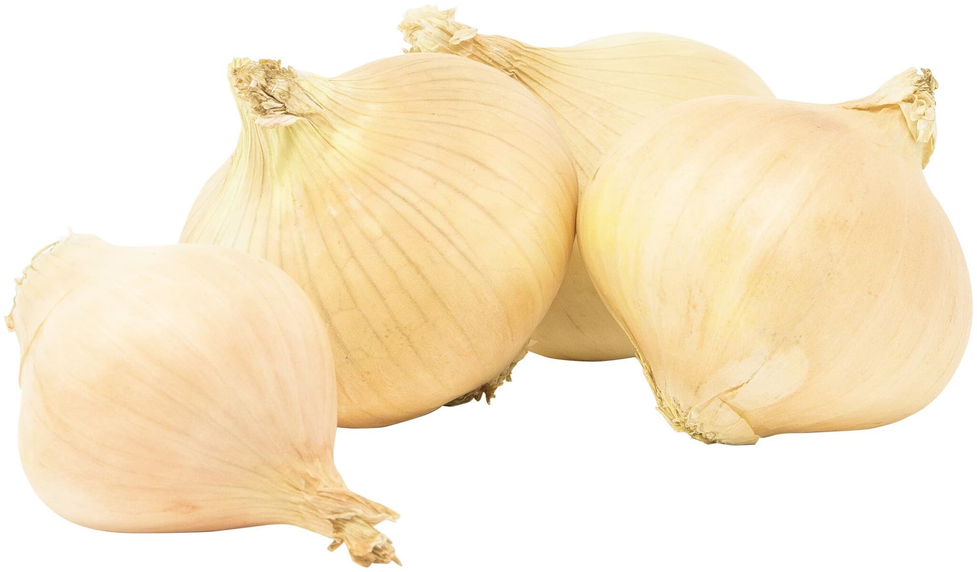 sonstige Marken Zwiebeln gelb