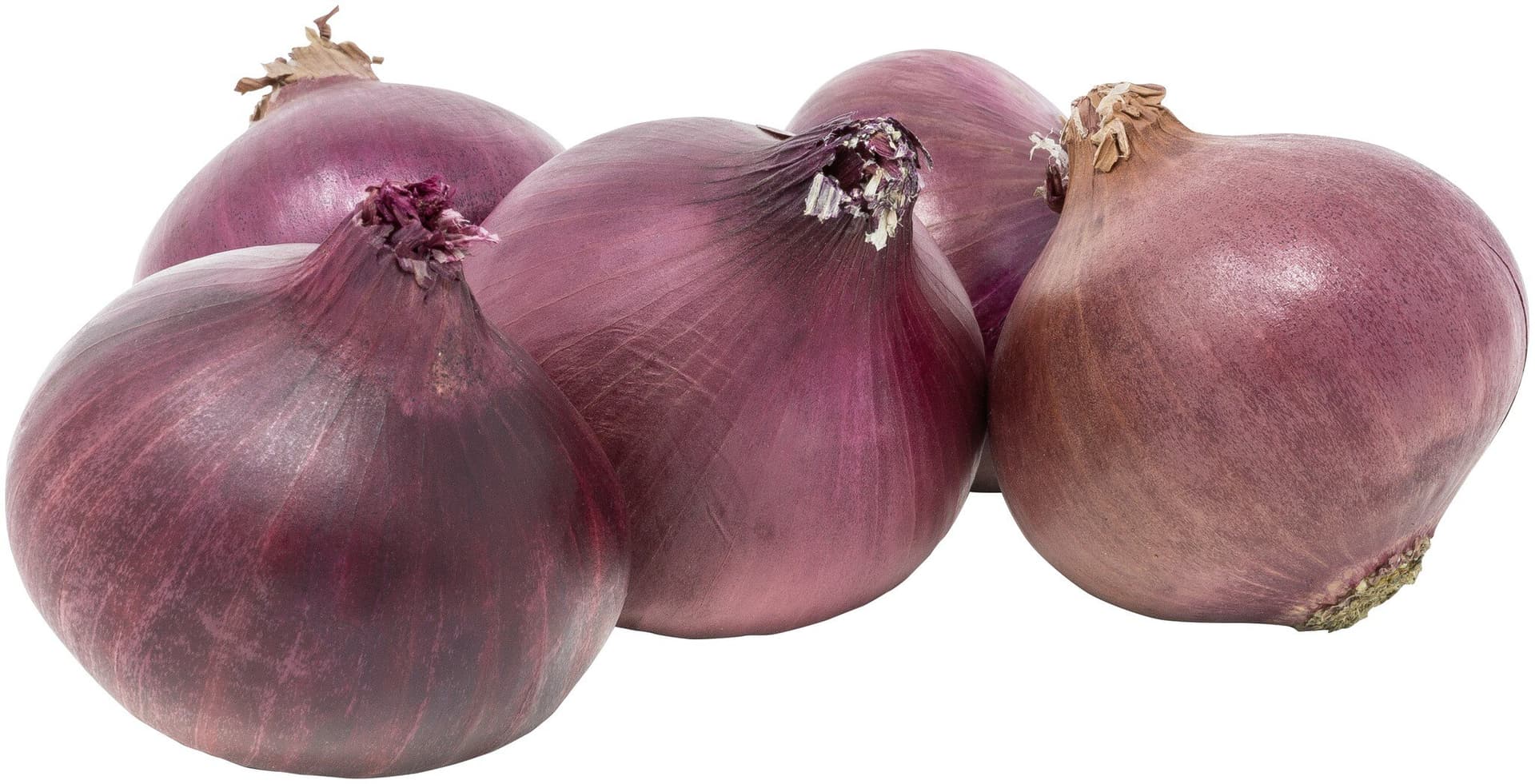 sonstige Marken Zwiebeln rot
