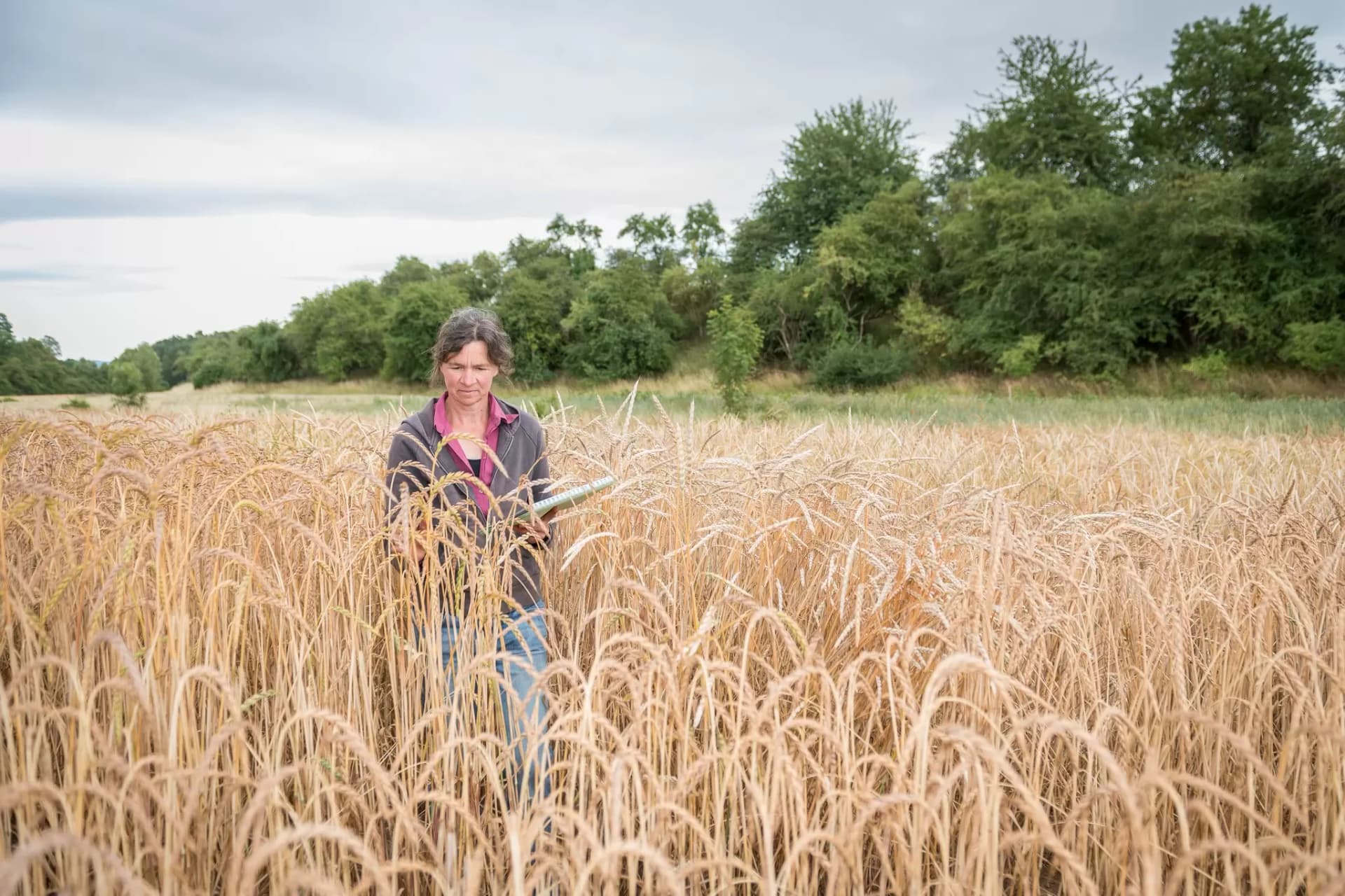 Landwirtin von Gutmoenchhof im Getreidefeld