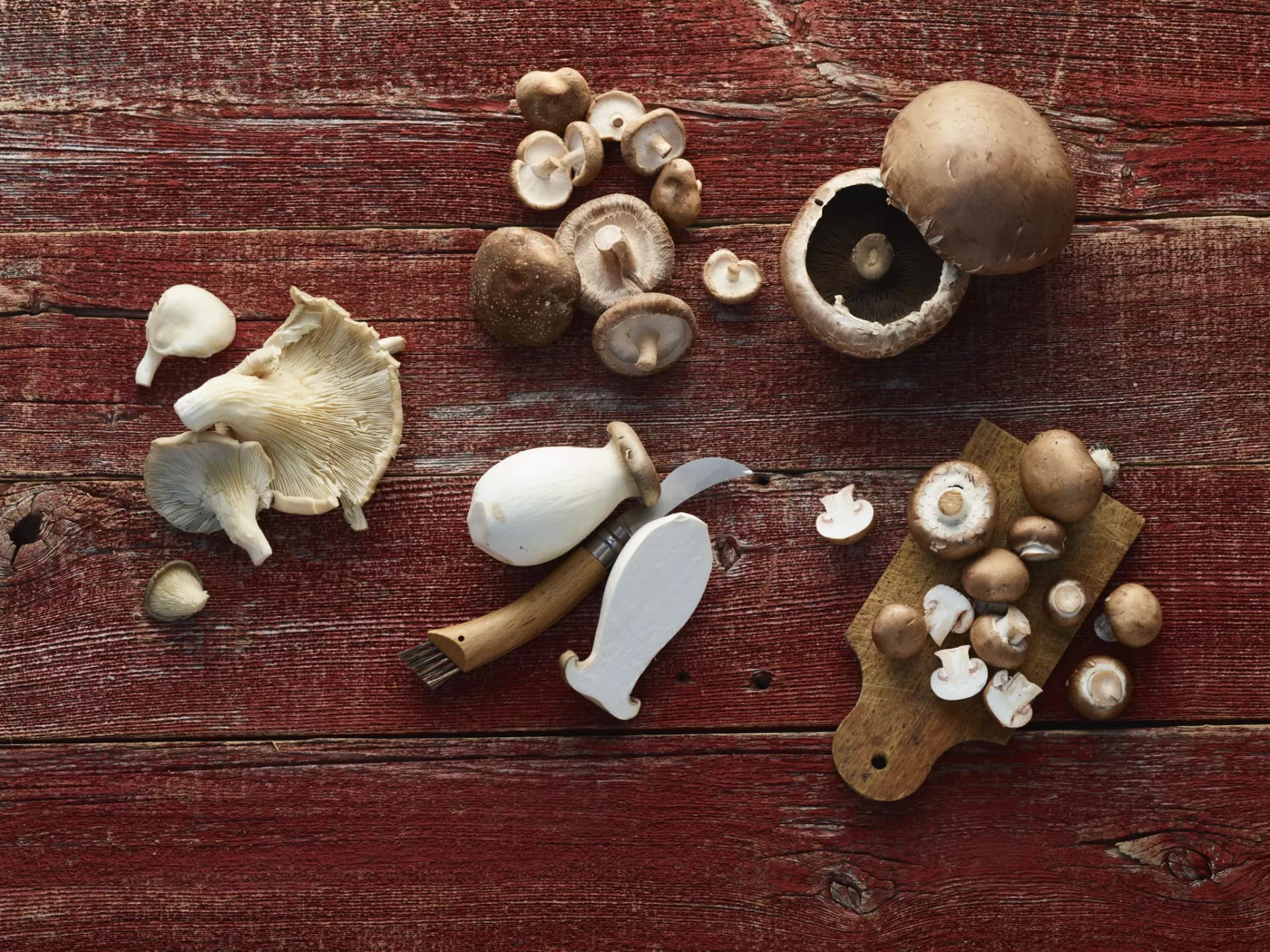 Verschiedene Pilzsorten auf Holzbrett. Austern-, Stein und Portobellopilze, Champignons  und Pfifferlinge.