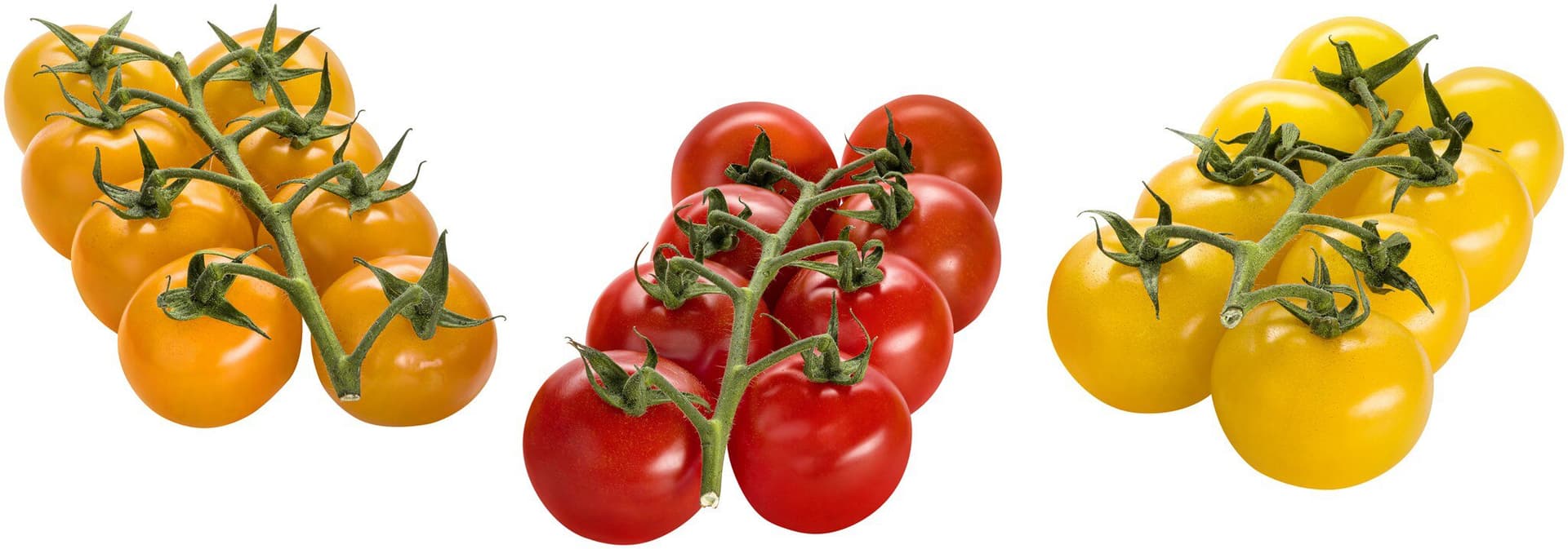 sonstige Marken Cherrystrauchtomaten rot