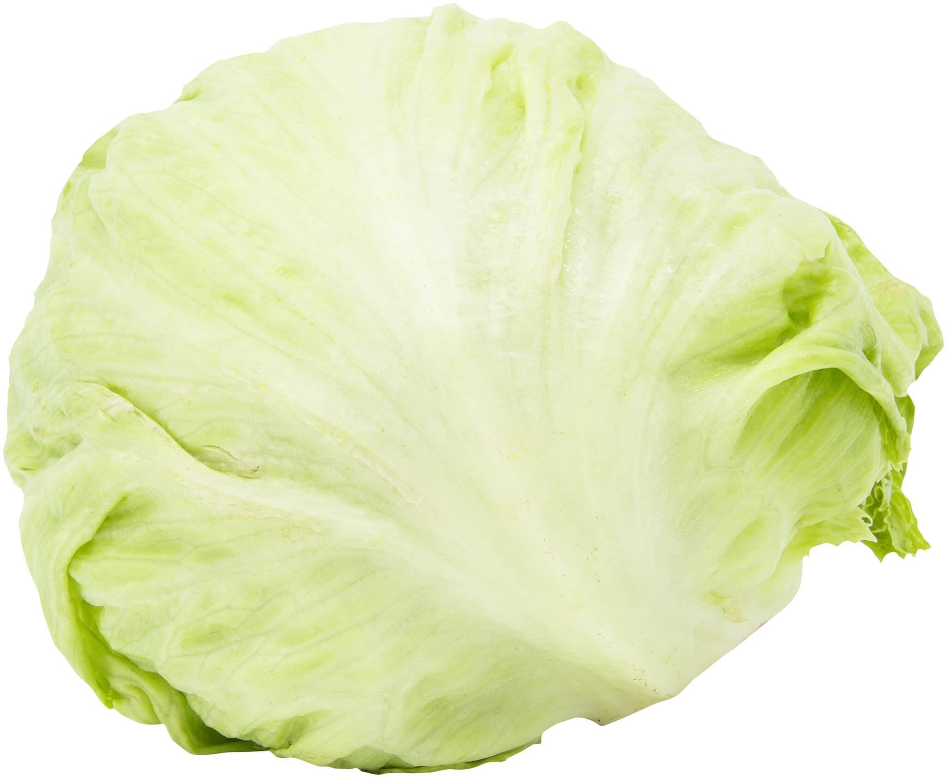 sonstige Marken Eisbergsalat