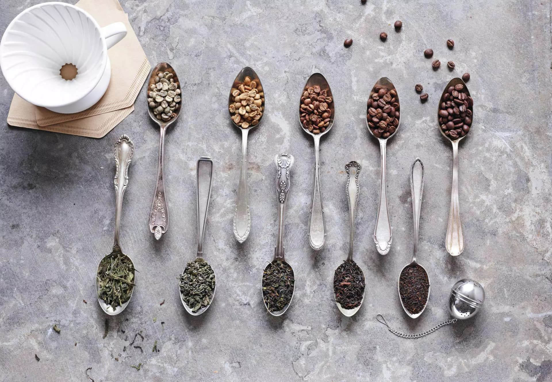 Warenkunde Kaffee und Tee. 10 Esslöffel mit fünf unterschiedliche Sorten Kaffeebohnen und fünf mit unterschiedlichen Teeblättern. Ein Teeei, ein Kaffeefilter und Filtertüten.