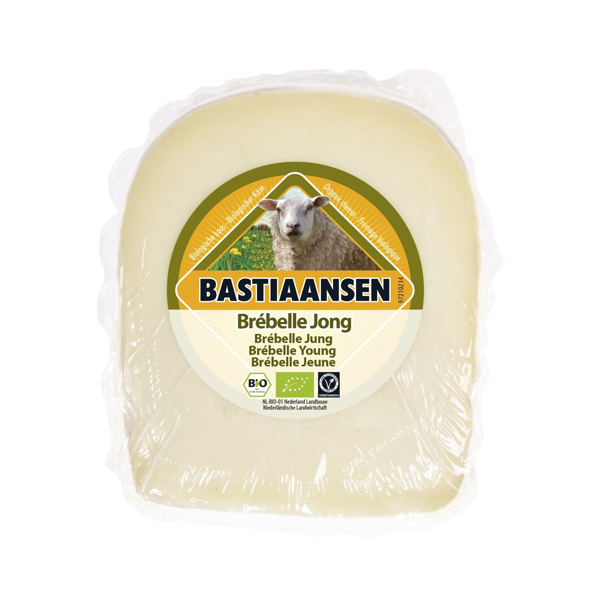 Bastiaansen Schafgouda Brebelle jung