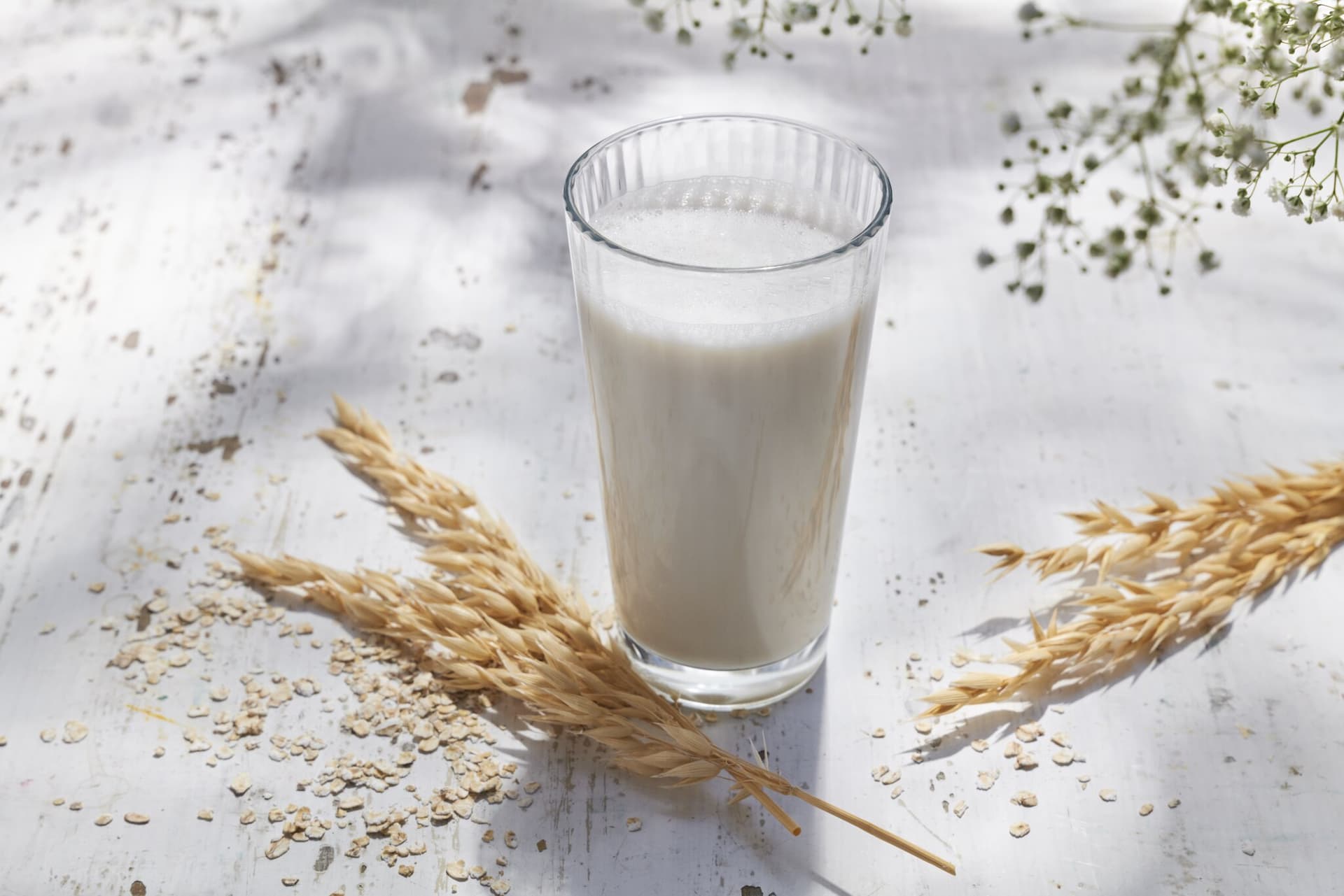 Haferdrink selber machen