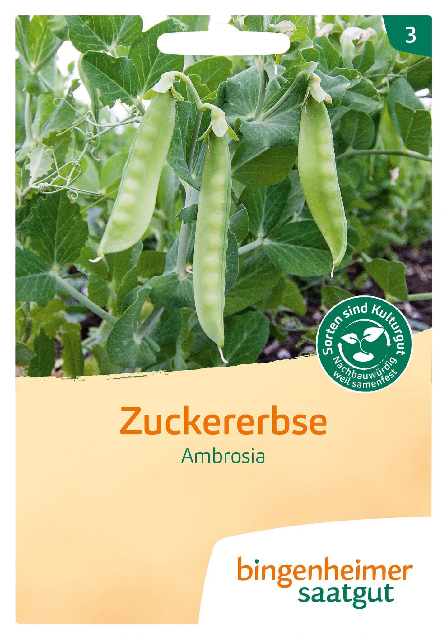 Bingenheimer Saatgut Zuckererbse Ambrosia (Salatsamen)