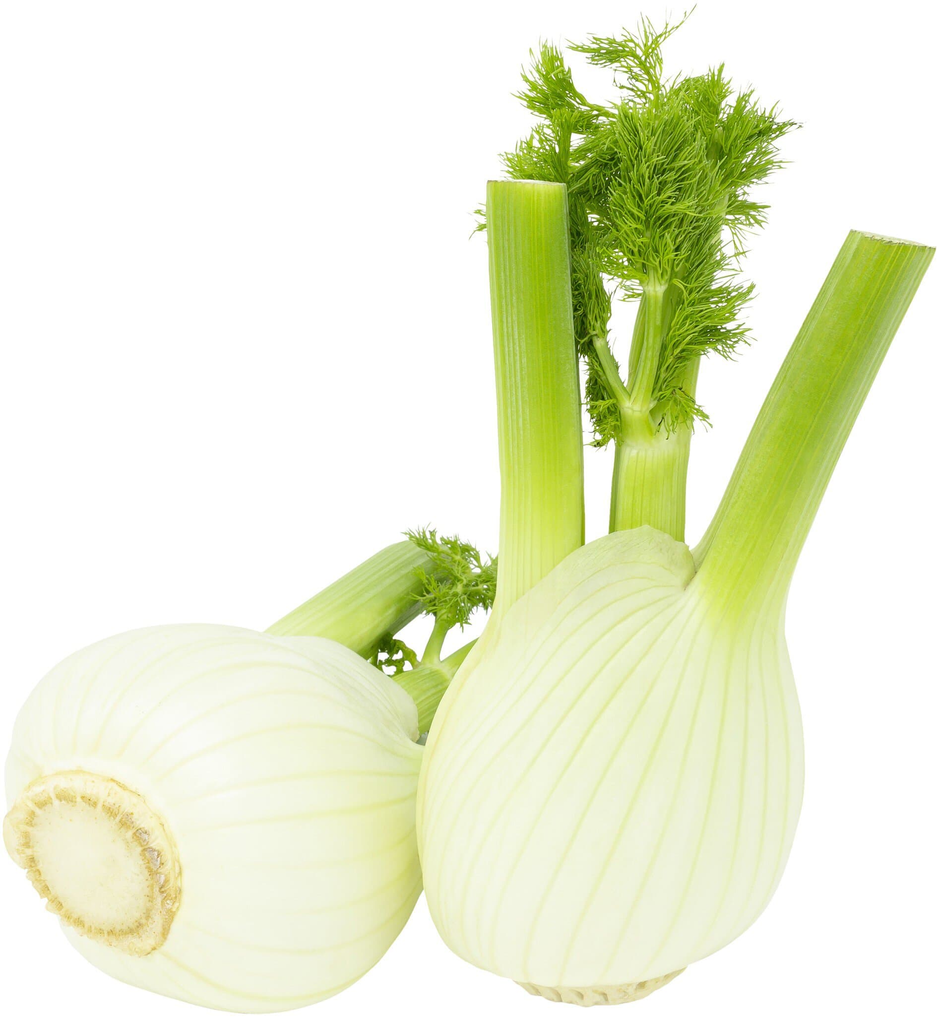 sonstige Marken Fenchel
