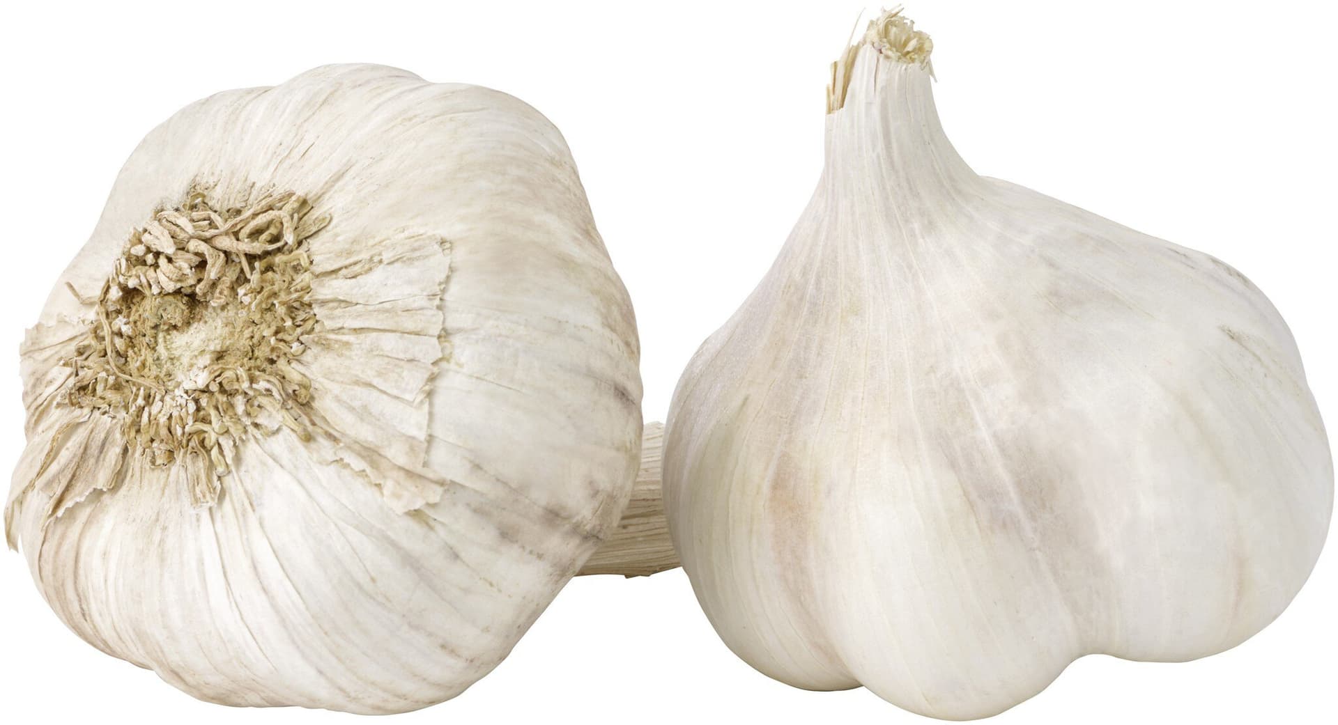 sonstige Marken Knoblauch
