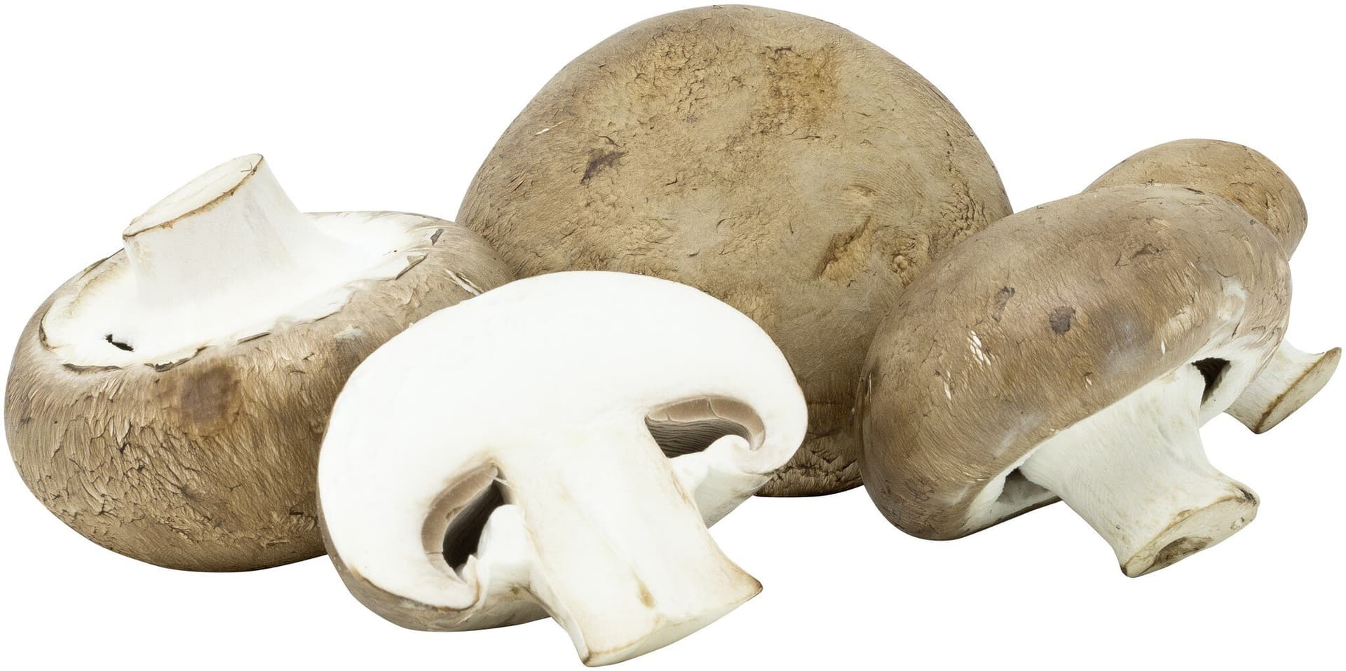 sonstige Marken Pilze Champignons braun