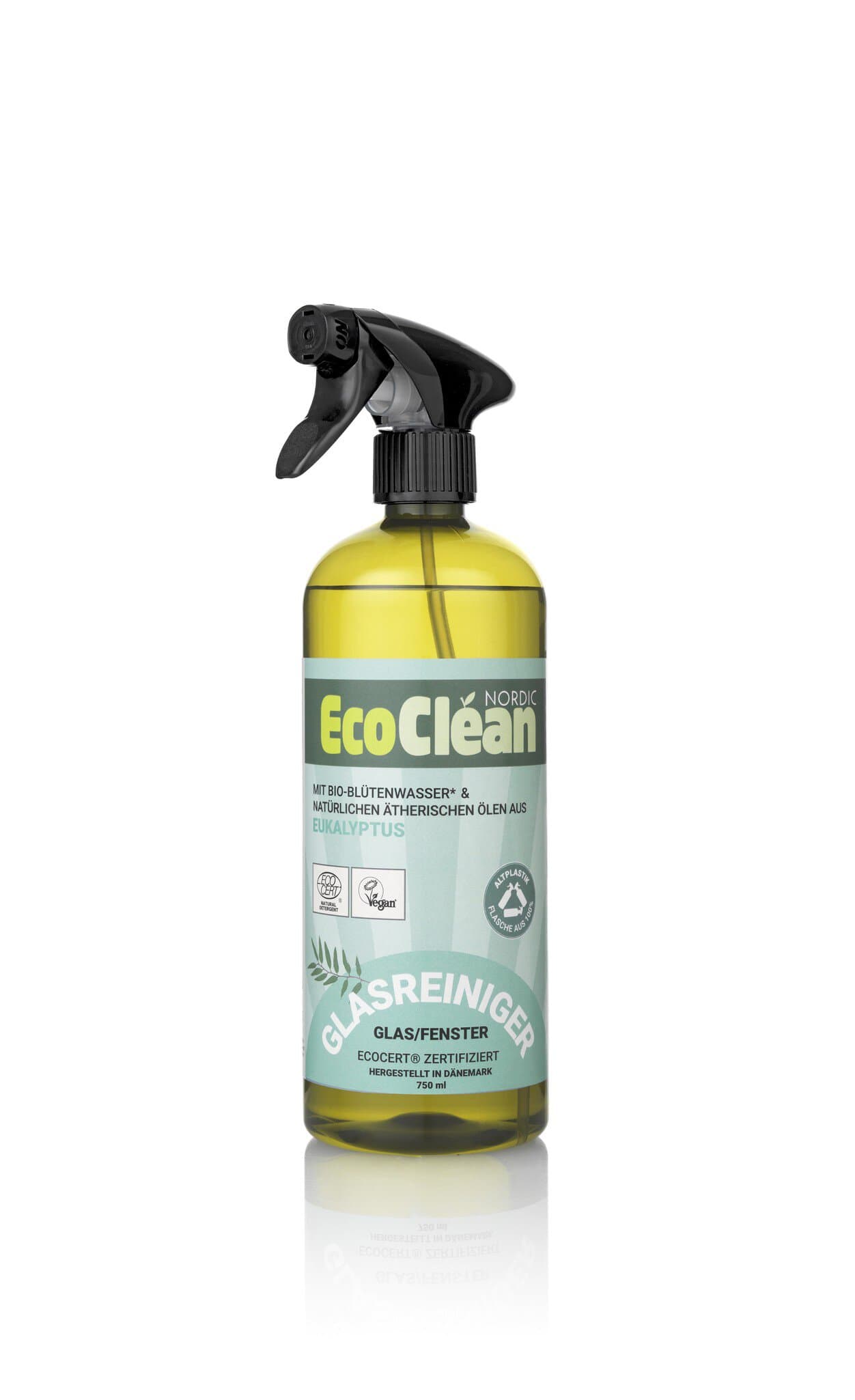 Eco Clean Glasreiniger Eukalyptus