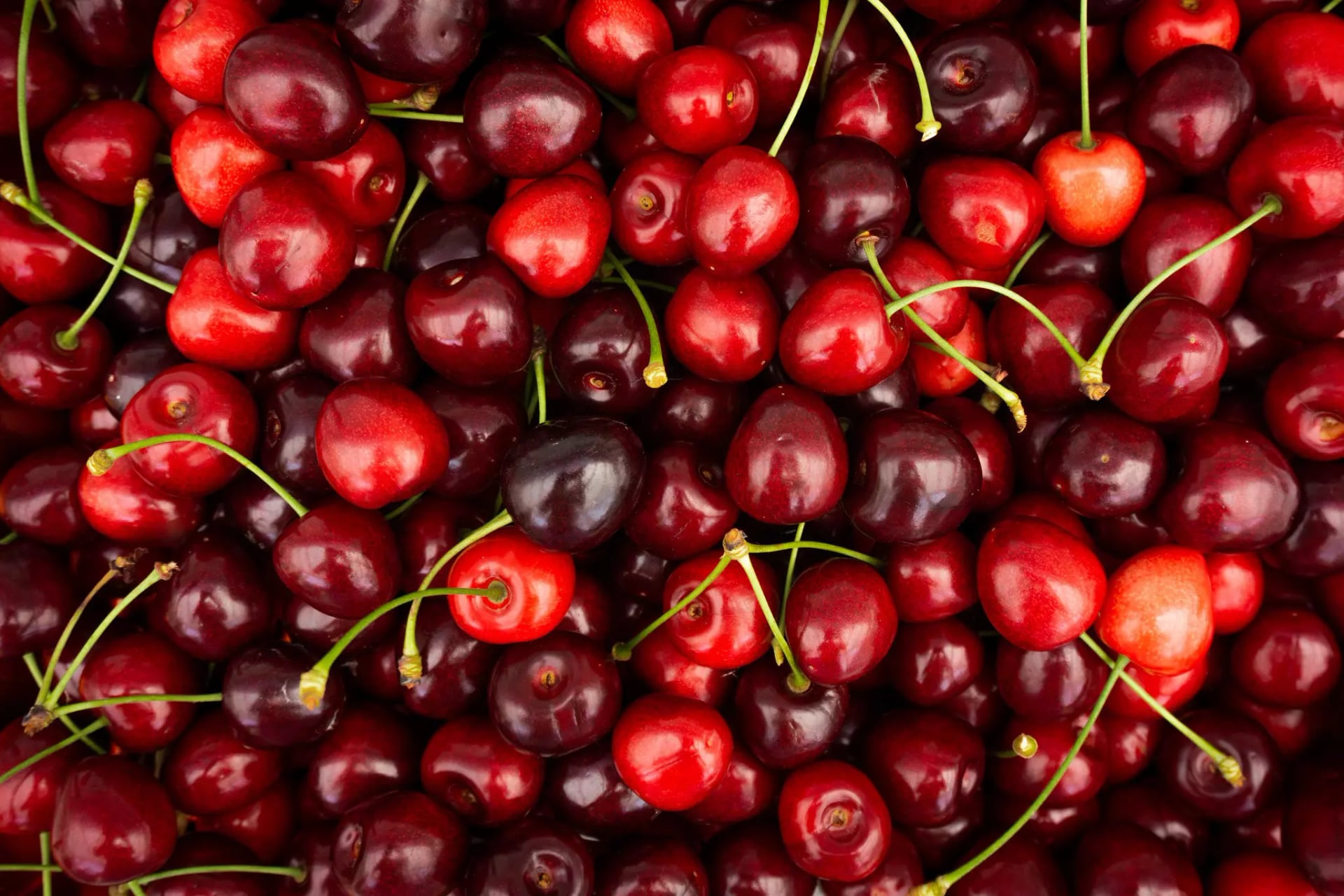 Rote Kirschen