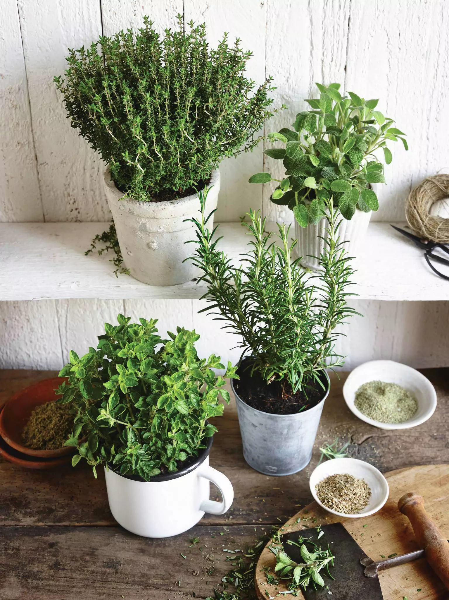 Mediterrane Kräuter in Weißen Blumentöpfen, Rosmarin, Salbei, Thymian, Oregano
