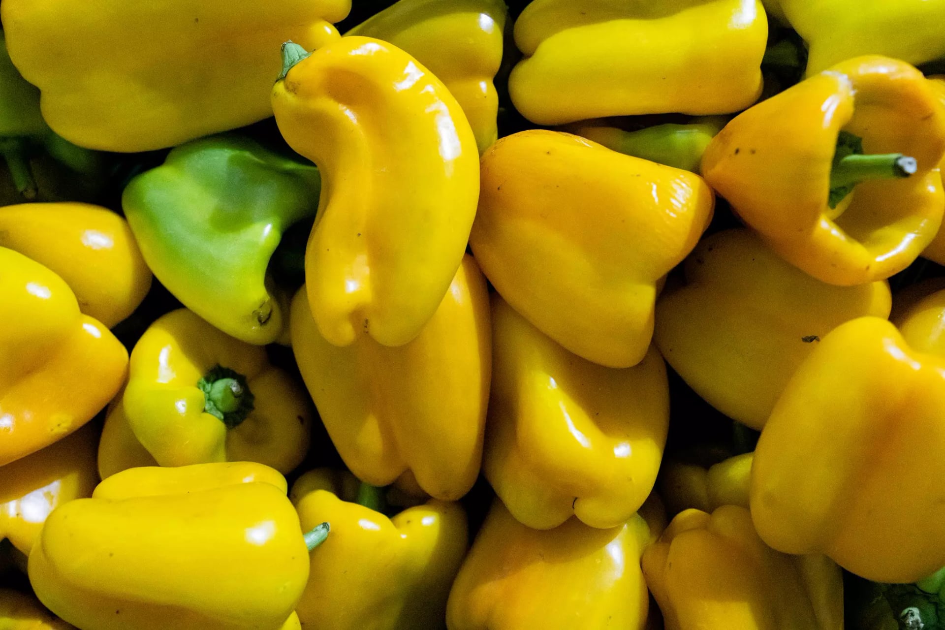 gelbe Paprika