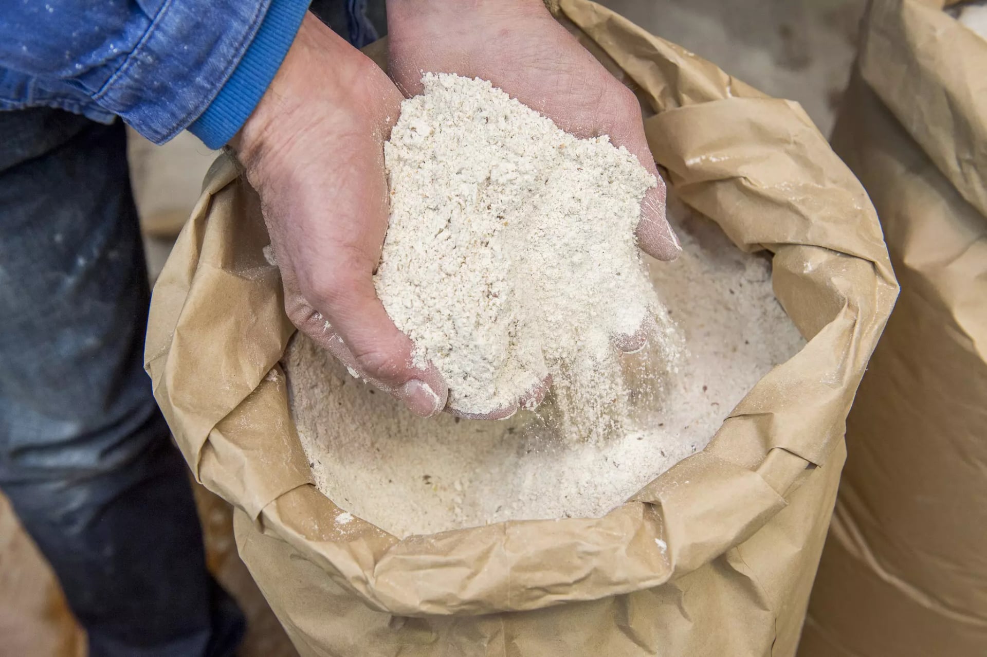 Hände halten eine Menge feines, helles Mehl über einem offenen braunen Mehlsack aus Papier.