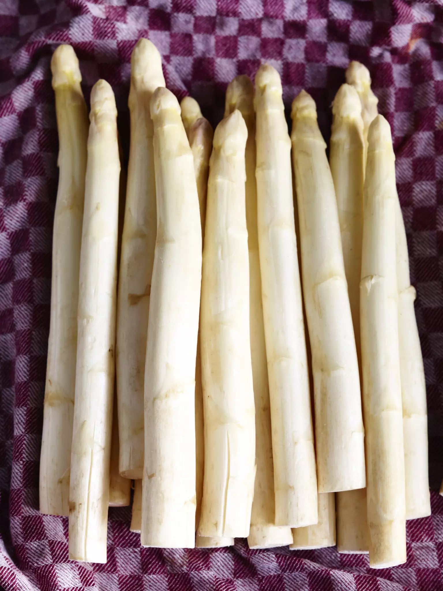 Spargel