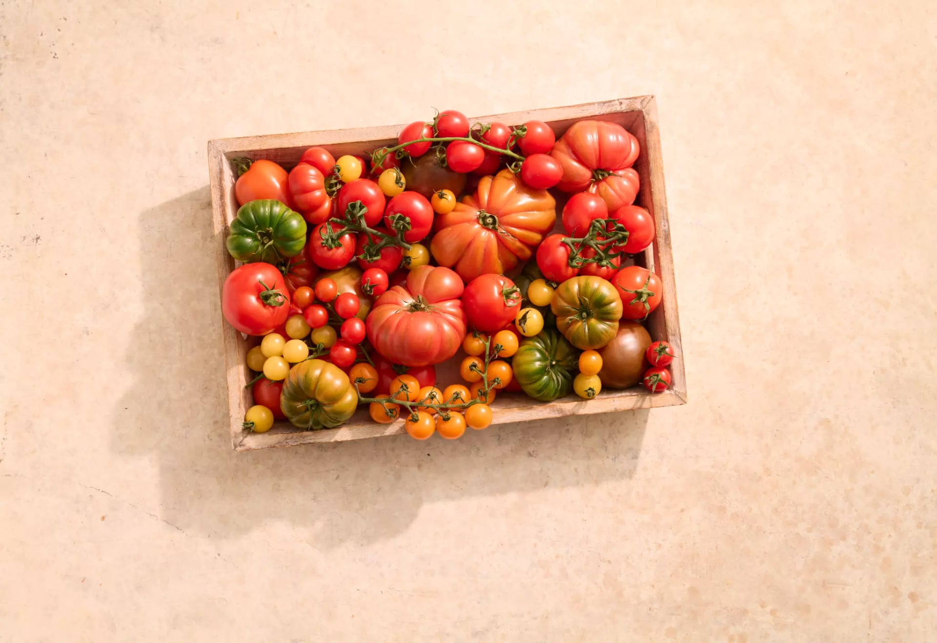 Holzkiste mit verschiedenen Tomatensorten in unterschiedlichen Formen und Farben.