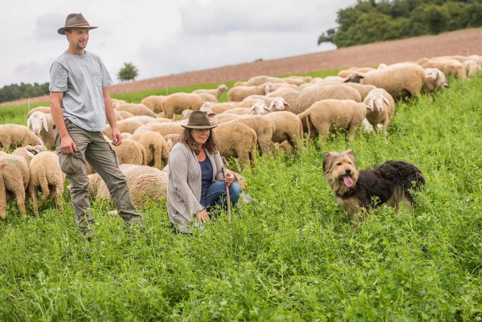 Mann mit Hut steht neben Frau mit Hut und Stock in grünem Feld vor einer Herde Schafe und einem großen Hund.