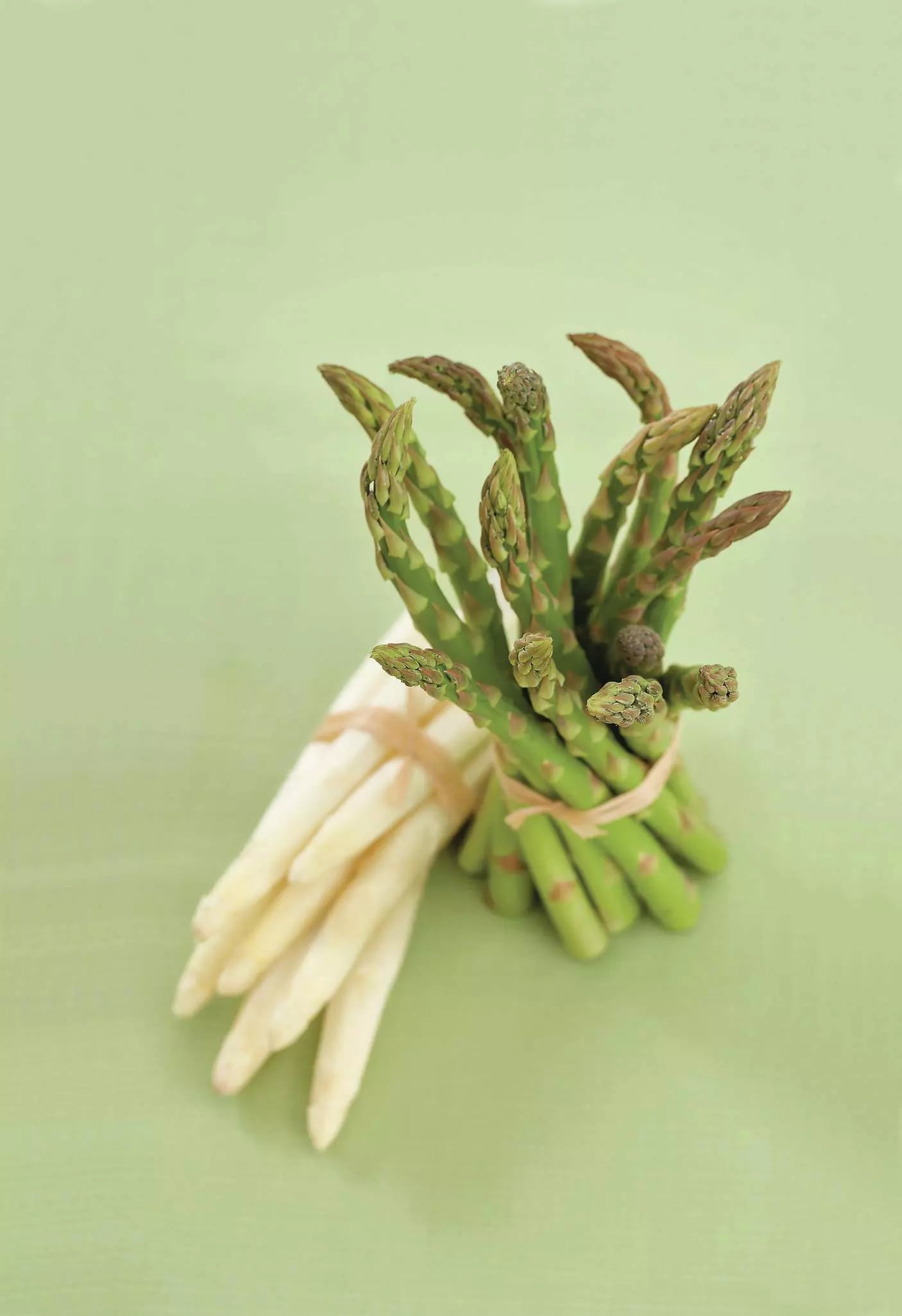 Spargel