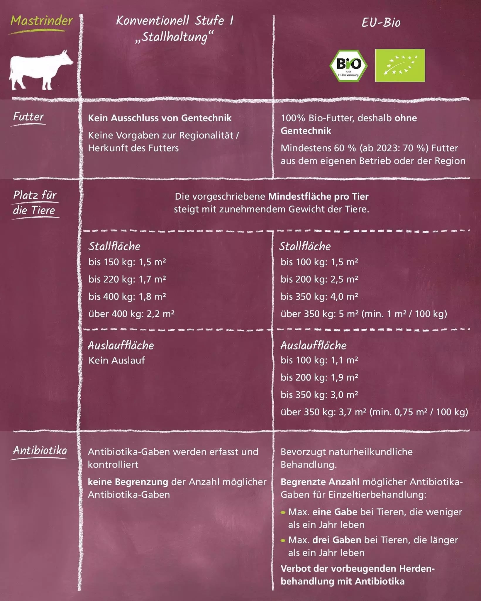 Tafel mit Vergleichstabelle zu konventioneller Haltung und EU-Bio bei Mastrindern mit Angaben zu Futter, Platz für die Tiere, Stallfläche, Auslauffläche und Antibiotika