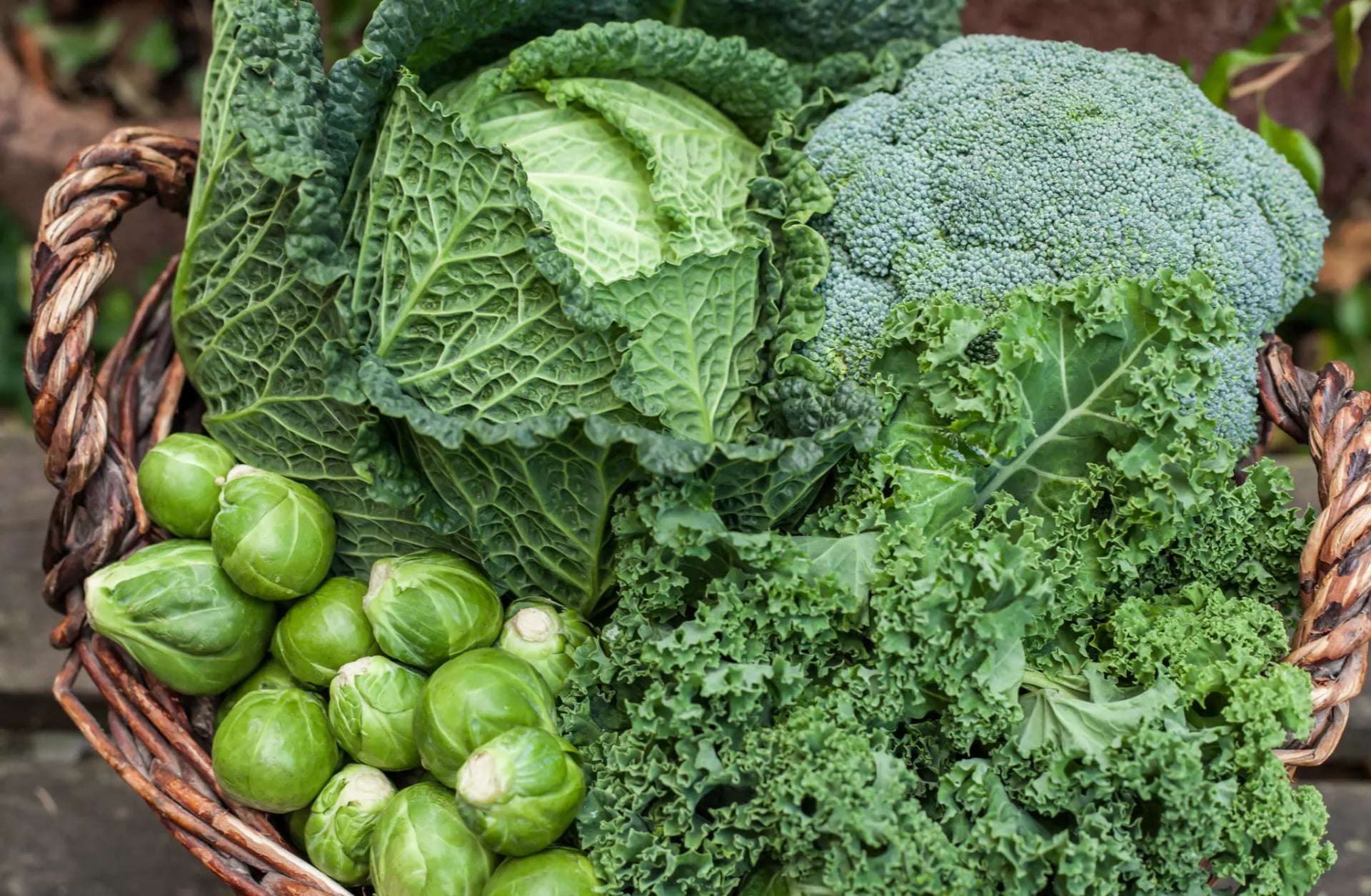 Verschiedene Sorten Kohl wie Rosenkohl und Grünkohl in einem Flechtkorb