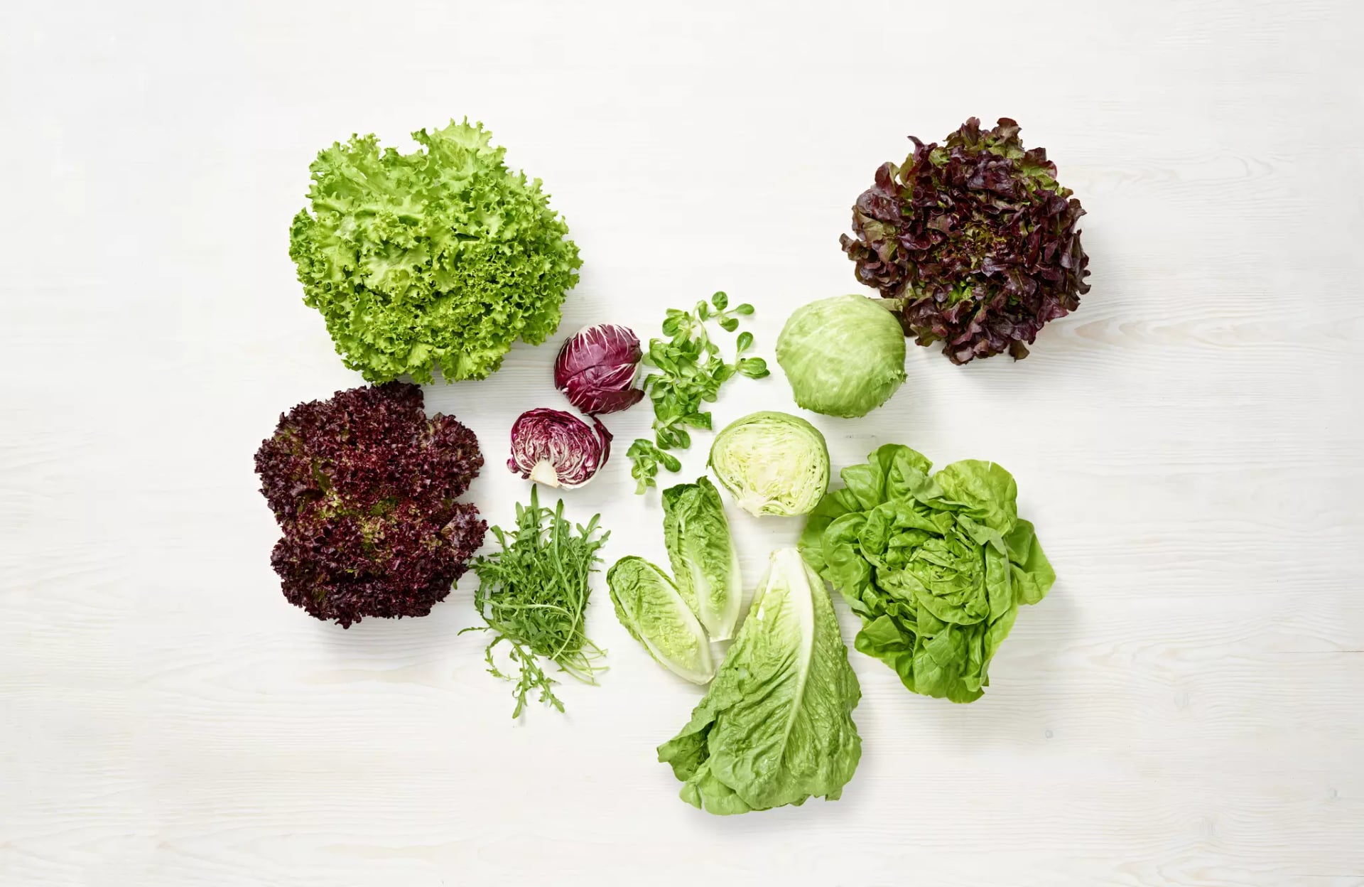 Verschiedene Salat Sorten, Eichblatt, Kopfsalat, Eisbergsalat, Feldsalat, Radicchio, Rucola.