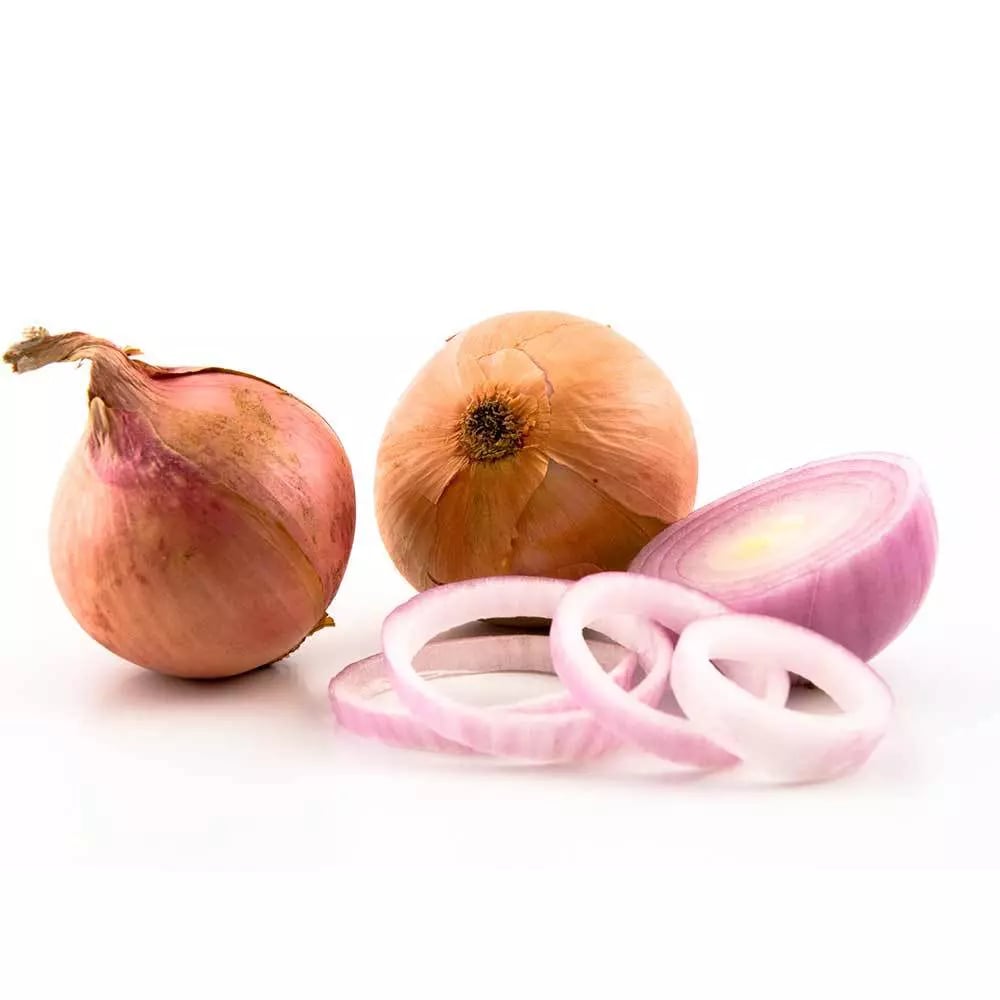 Zwiebel