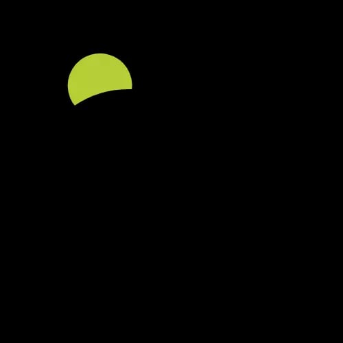 Sparschwein-Icon mit grünen farblichem Akzent.