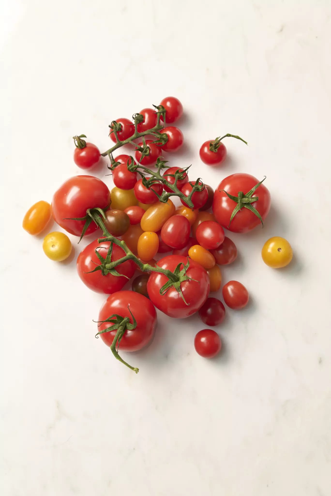 Tomatenvielfalt