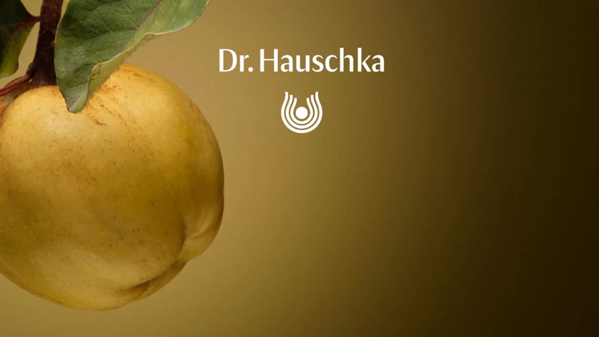 Quitte mit Blatt vor einfarbigem gelben Hintergrund und dem Schriftzug 'Dr.Hauschka' mit Logo.