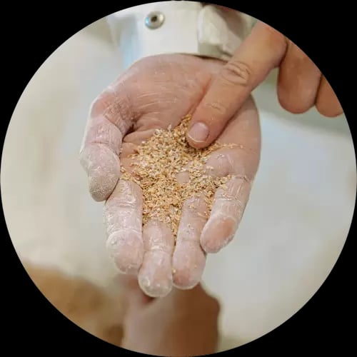 Mehlige Hand mit grob vermahlenen Getreidekörnern in der Handinnenfläche.