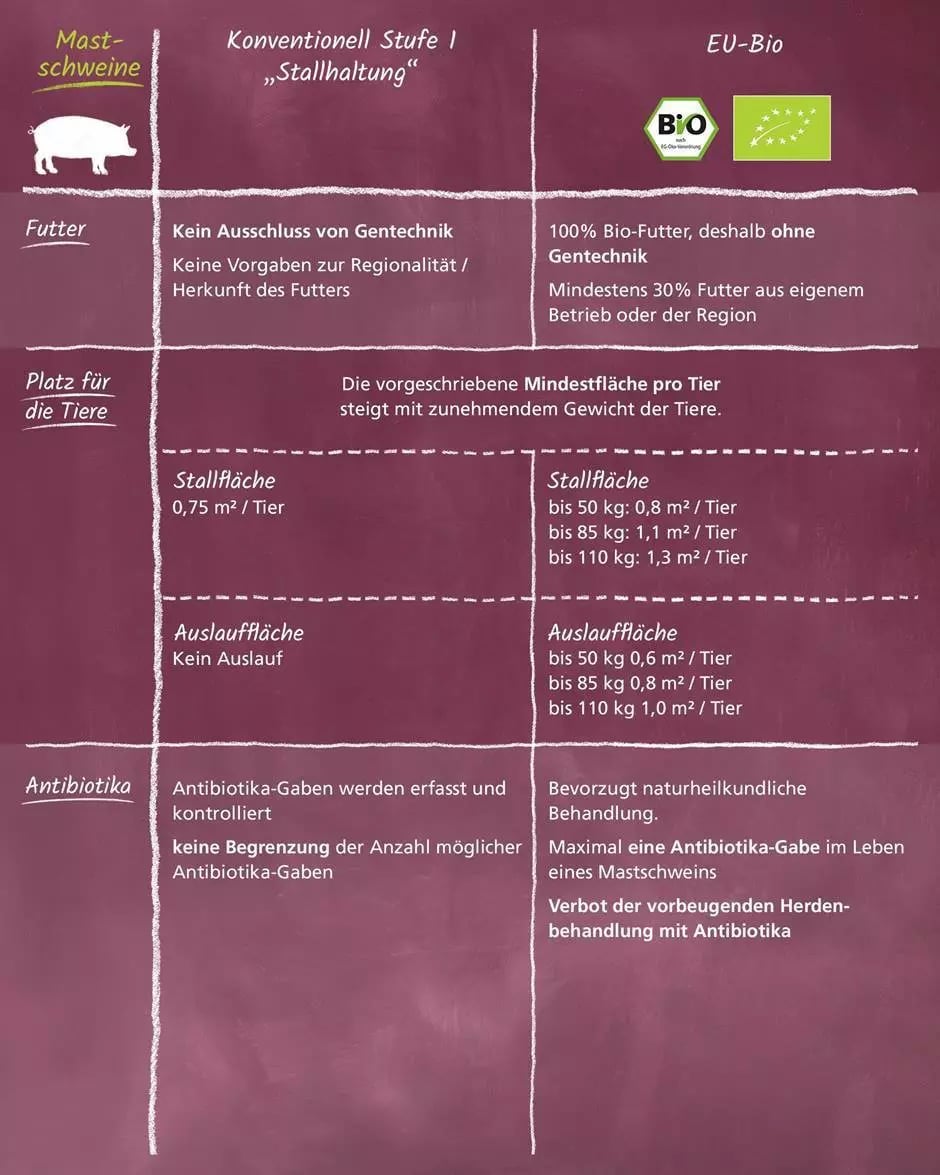 Tafel mit Vergleichstabelle zu konventioneller Haltung und EU-Bio bei Mastschweinen mit Angaben zu Futter, Platz für die Tiere, Stallfläche, Auslauffläche und Antibiotika