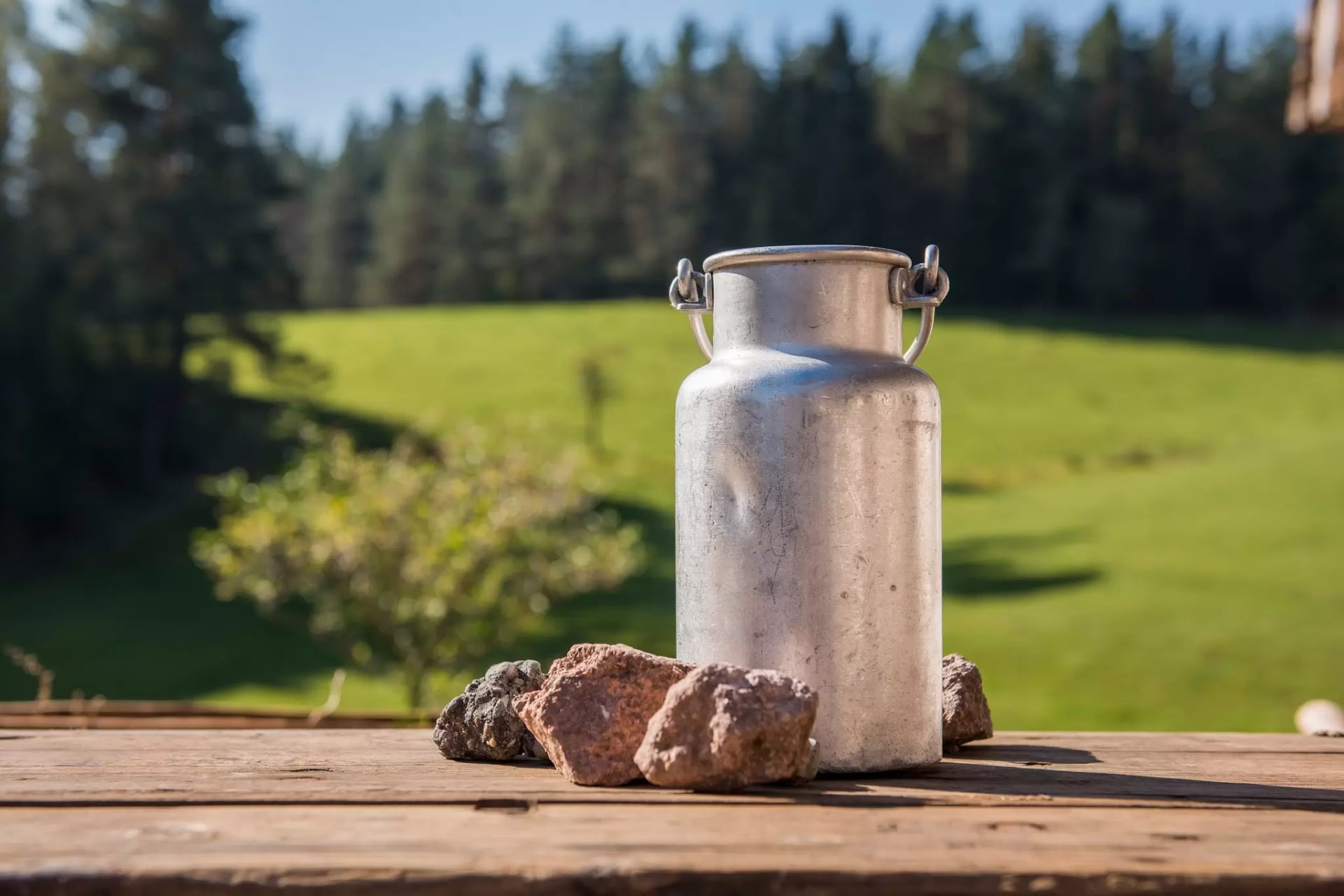 Alte Metallmilchkanne steht auf Holztisch mit mehreren Steinen davor vor unscharfem Waldhintergrund.