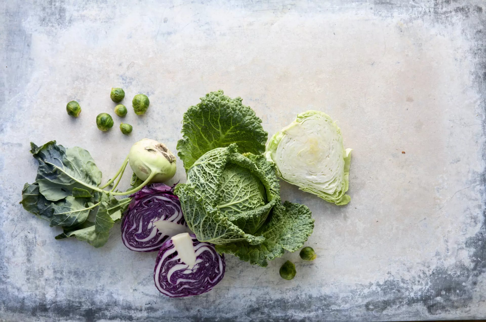 Verschiedene Kohlsorten, Wirsing, Weißkohl, Spitzkohl, Kohlrabi, Rosenkohl und Rotkohl.