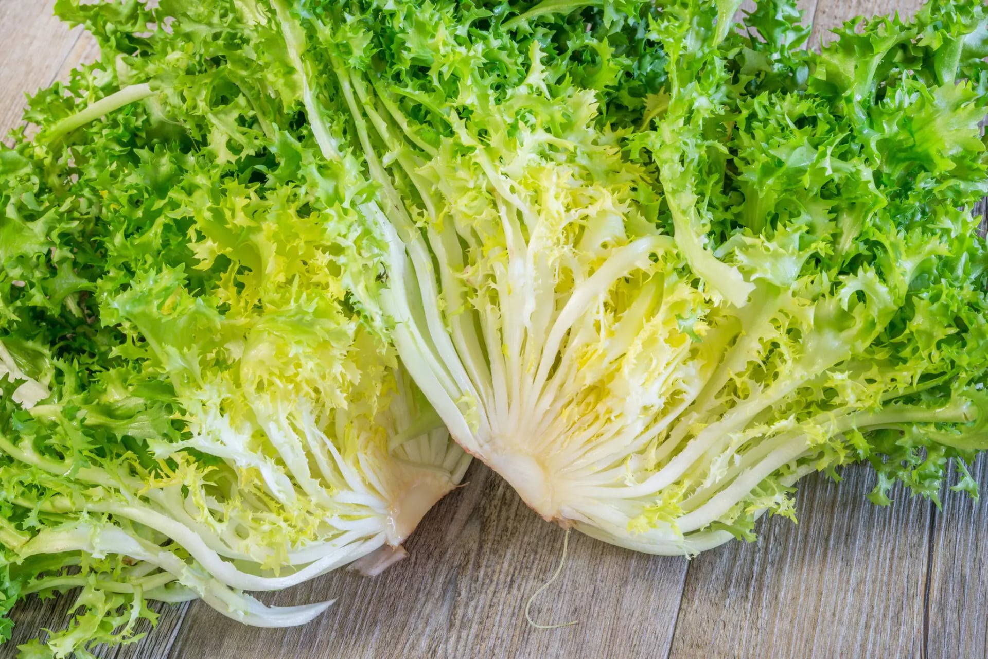 Ein in der Mitte zerteilter Endivien Salatkopf