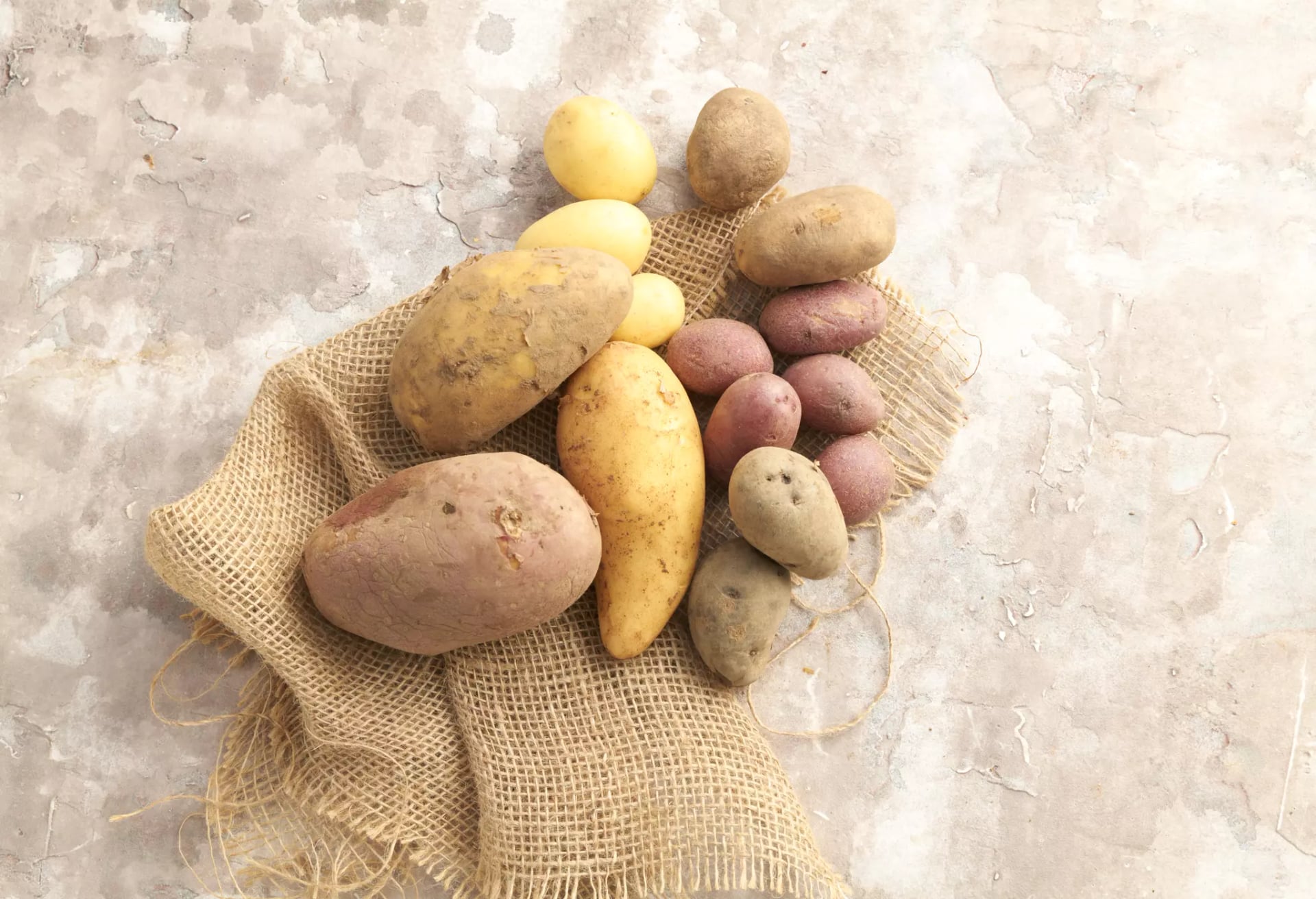 Verschiedene Kartoffelsorten