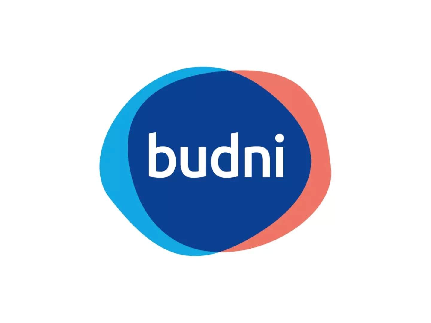 Logo des Handelsunternehmens budni