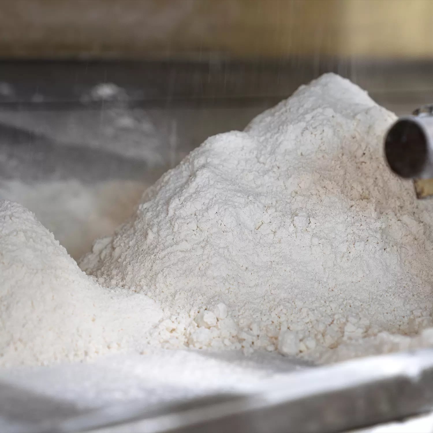 Gemahlenes Dinkelmehl in der Mühle