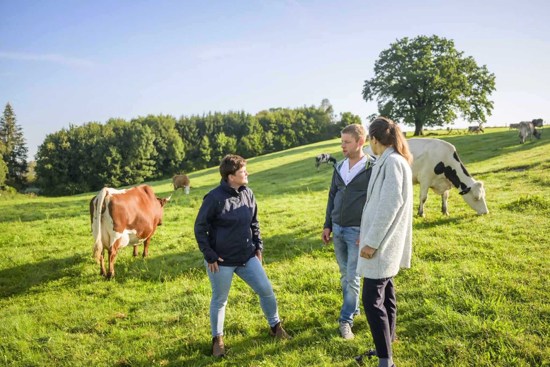Menschen auf der Weide mit Landwirt Huber, im Hintergrund rot-weiße und schwarz-Weiße  Kuh am grasen.
