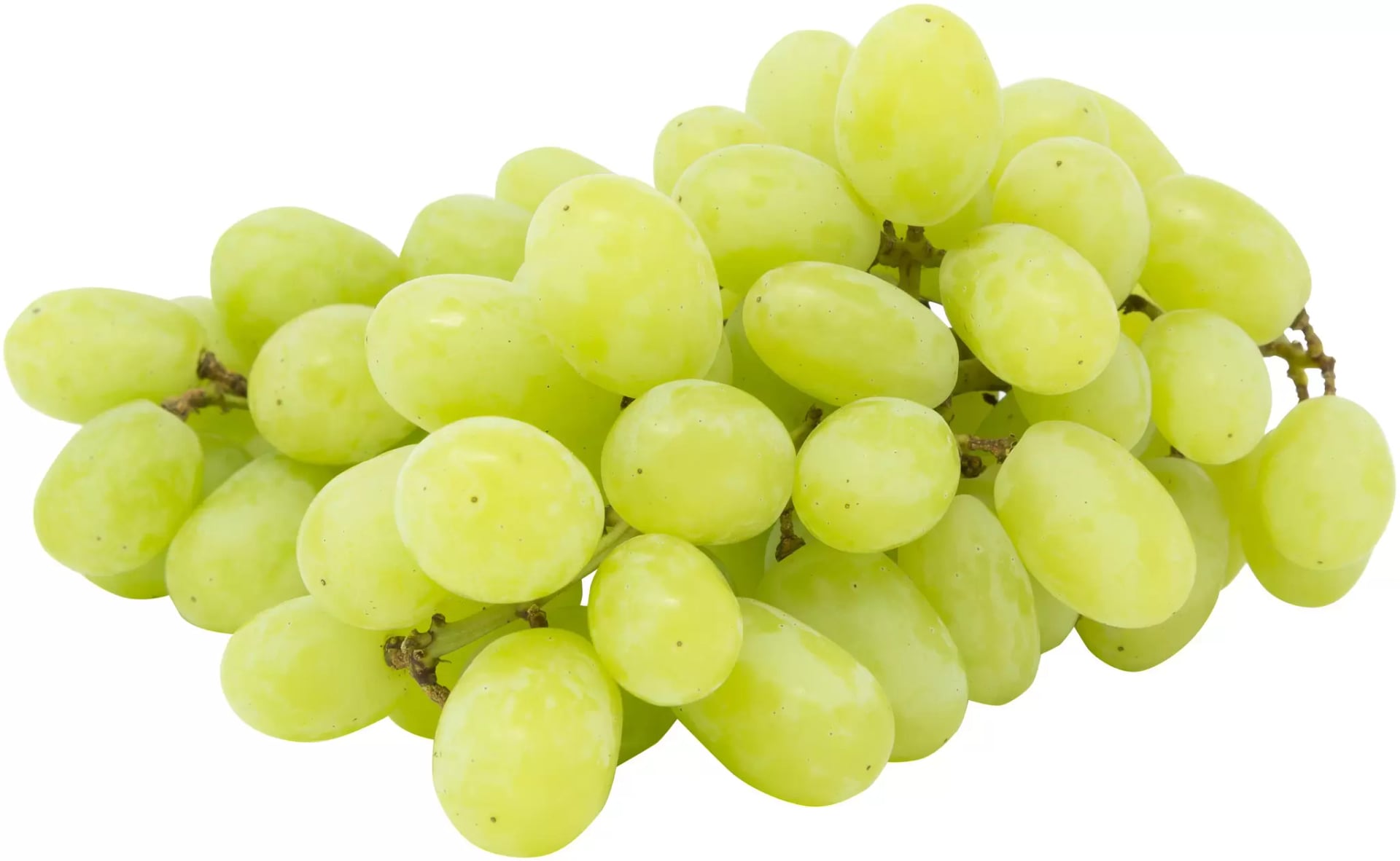 Traube kernlos weiß